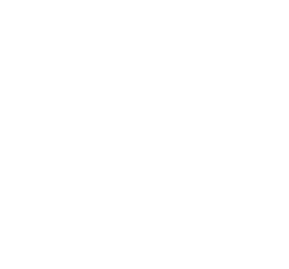 The King's Trust