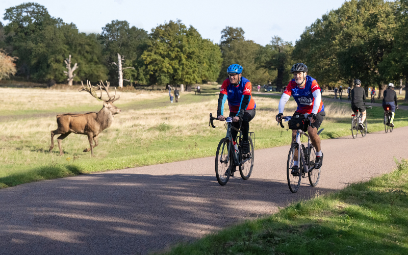 Two cyclists in Richmond Park cycling past a deer as part of Palace to Palace