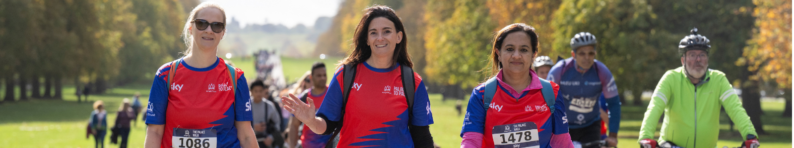 Palace to Palace 2026